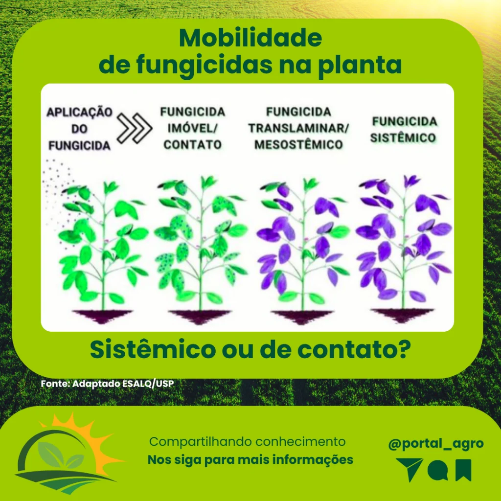 Mobilidade-de-fungicidas-na-planta1