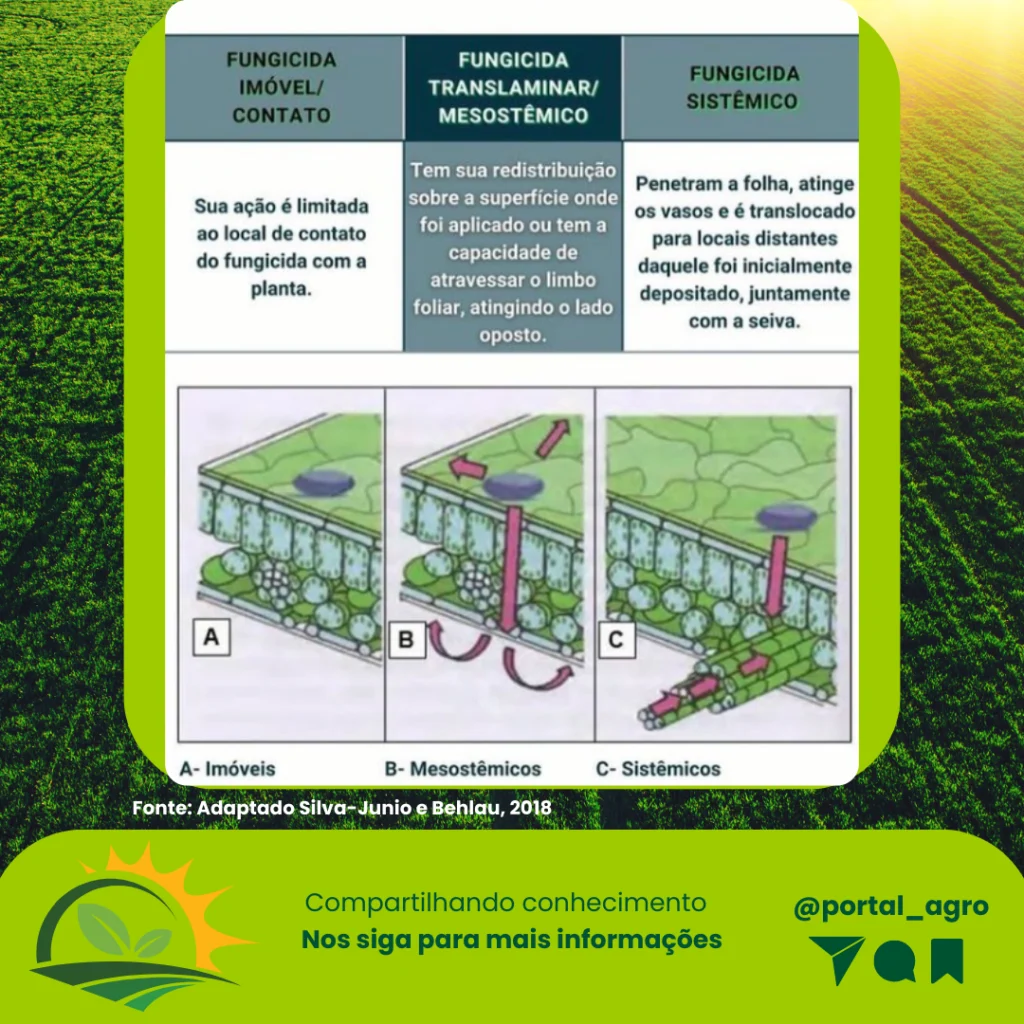 Mobilidade-de-fungicidas-na-planta2